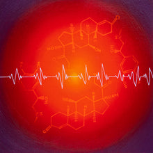 Load image into Gallery viewer, The Fear Response