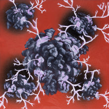 Load image into Gallery viewer, Magic is Found in the World Around Us